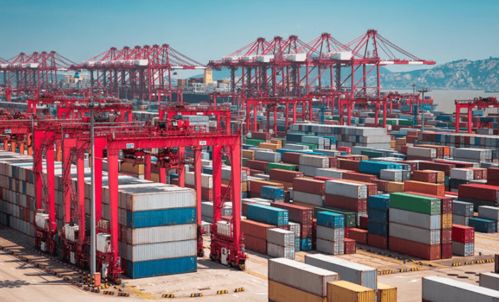 德國貿易商 擔心中國廠家春節(jié)休息,加快預訂中國防疫產品